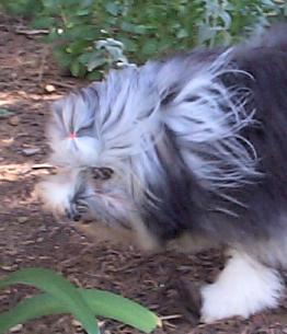 Bobbi aged 11 months, keeping an eye on me