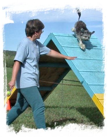 Simon pictured with owner/trainer Rhoda Stone, DVM